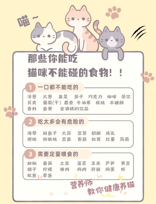 控盐高蛋白，禁食多项食物，科学喂养保健康（折耳猫最忌三种东西）