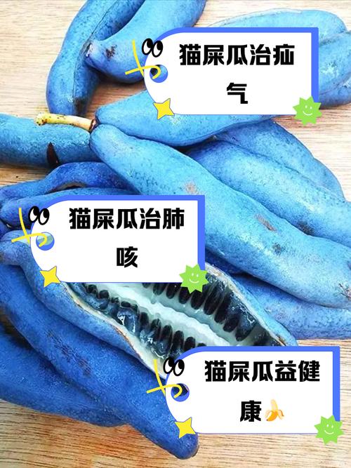 红薯可喂猫助消化，但需适量防胀气腹泻（猫吃红薯好处和坏处）