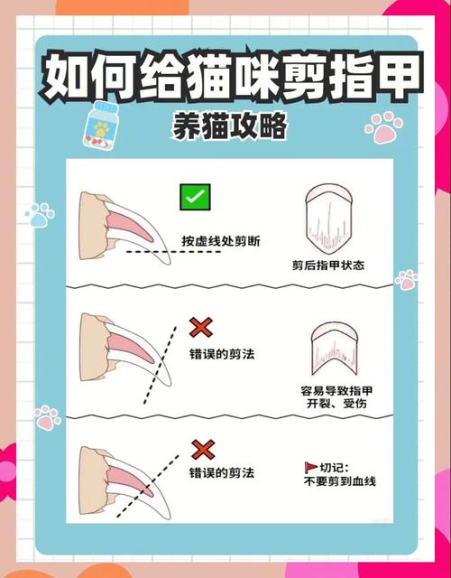 20分钟狮子造型，头颈保留保美观（给猫剪毛最简单方法）