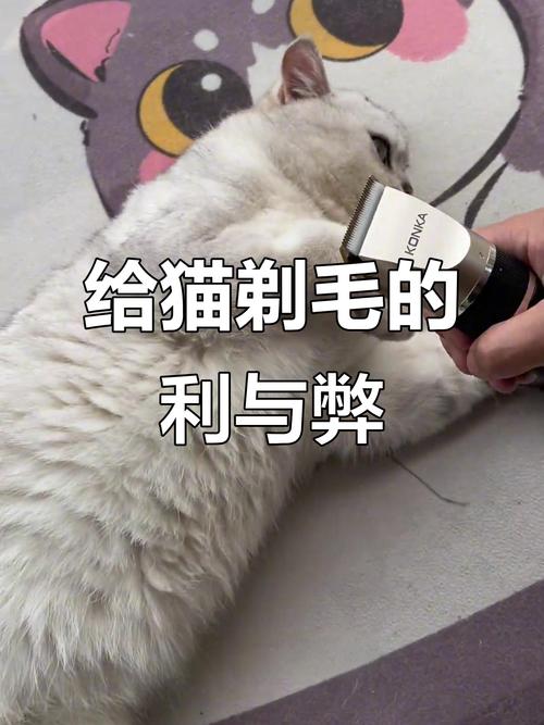 温和清洁，防感染，观察皮肤（猫剃毛后要怎么保护）