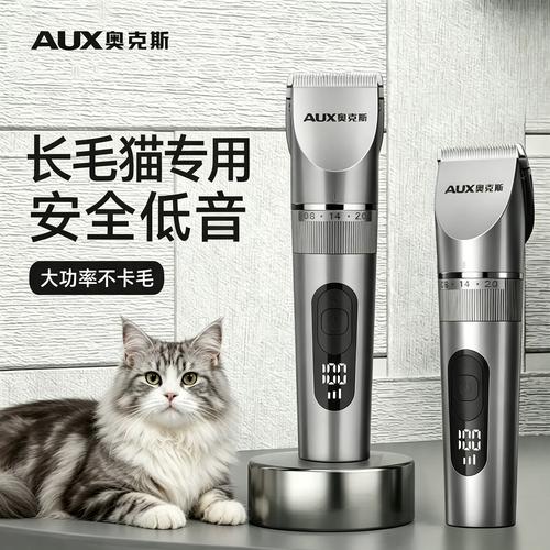 剃猫毛别用人工具，卫生安全风险大！（给猫剃毛可以用人用的推子吗）