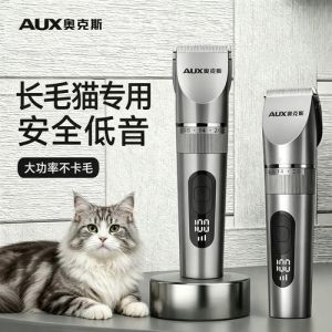 剃猫毛别用人工具，卫生安全风险大！（给猫剃毛可以用人用的推子吗）