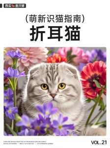 折耳猫贵原因及分辨真假方法（折耳猫贵还是立耳猫贵）