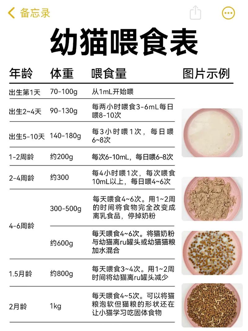 满足猫咪狩猎本能，辅助训练零食（猫条的正确喂法）