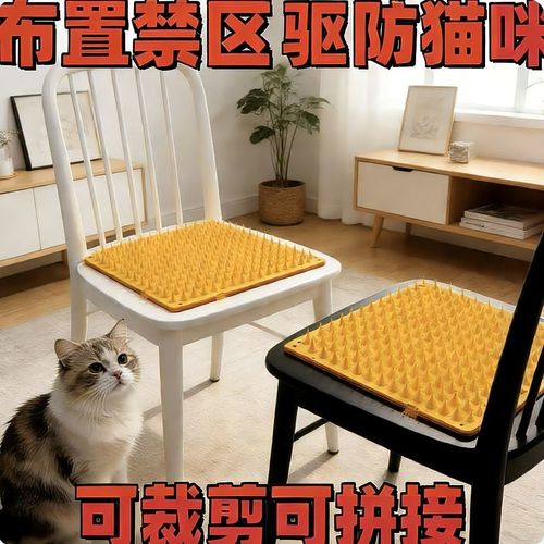 专猫窝引诱技巧，助你培养爱猫睡眠习惯（防止猫爬床最有效的方法）