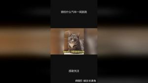 野猫对多种气味敏感，迅速逃离（野猫怕什么气味一闻就跑）