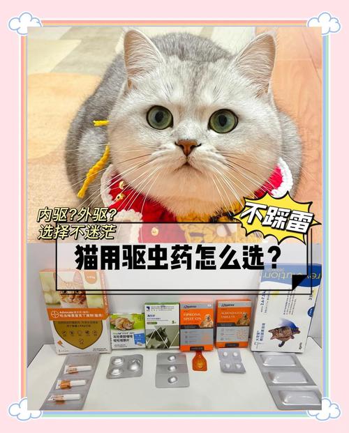 给猫驱虫正确方法，别剃毛，注意滴药位置和频率（给猫外驱需要剃毛么）