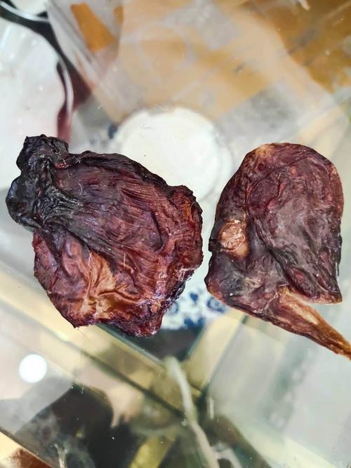 母猫吃胎盘恢复快，春秋吃最好，人吃要注意卫生！（猫胎盘什么季节吃最好）