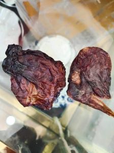母猫吃胎盘恢复快，春秋吃最好，人吃要注意卫生！（猫胎盘什么季节吃最好）