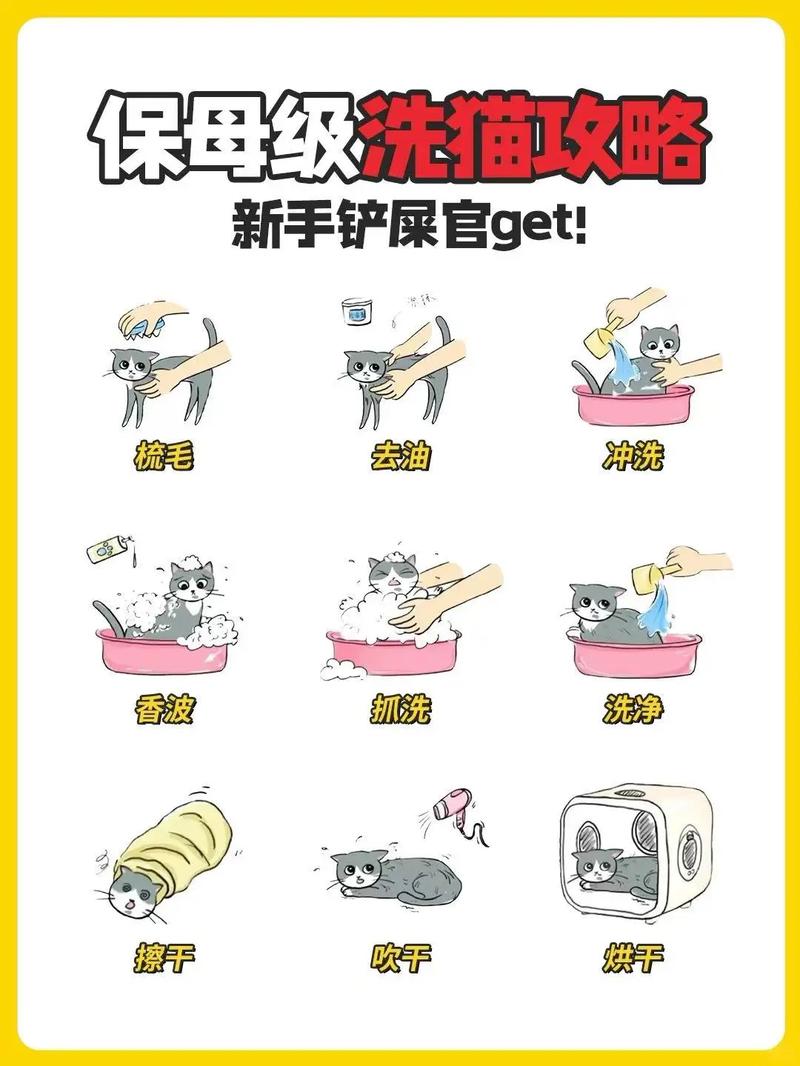 猫咪洗澡多久一次？（猫多久洗一次澡）