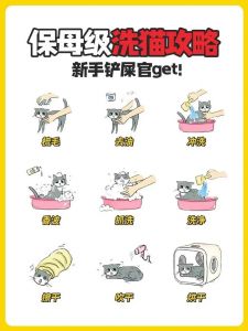 猫咪洗澡多久一次？（猫多久洗一次澡）