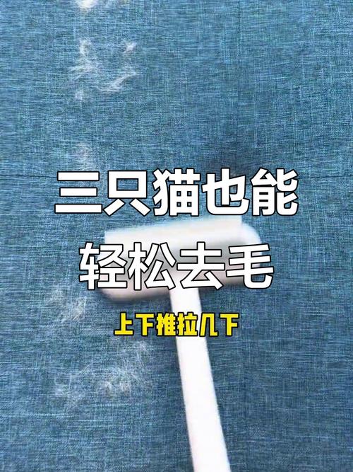 科学梳毛控猫毛，环境清洁勤维护（怎么清理猫毛最干净）