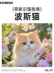 波斯猫蓝眼遗传与纯度疑问（波斯猫蓝眼睛是纯种吗）
