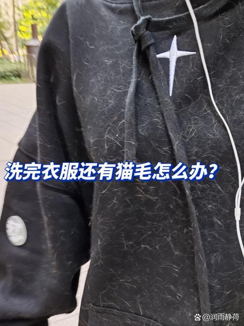 吸尘梳毛除猫毛，保持家居干净利落（猫毛怎么处理干净）