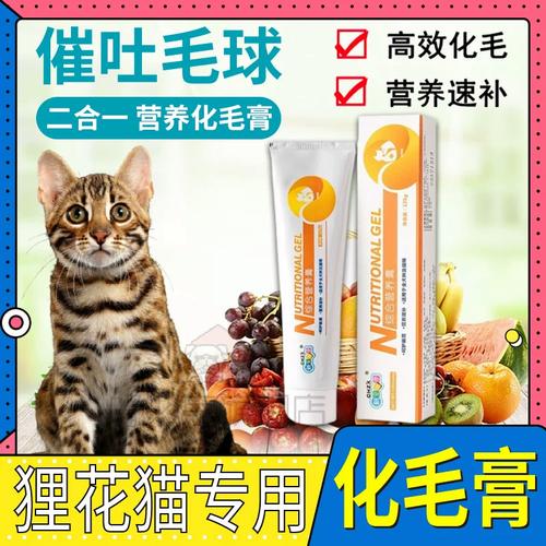 狸花猫毛长易吐球，勤梳猫草调饮食（狸花猫需要吃化毛膏）