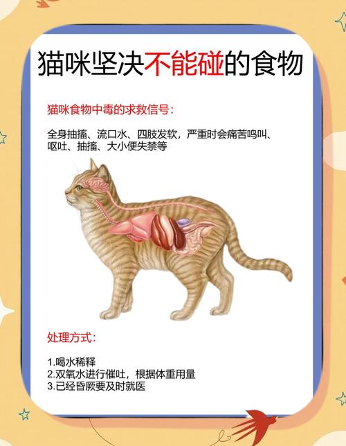 忌牛奶洋葱葡萄，宜科学喂养猫粮（小猫不能吃什么食物）