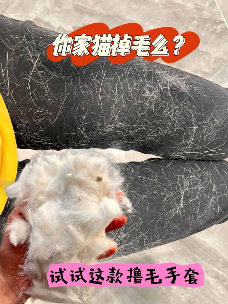猫咪掉毛多？梳毛补营养来搞定！（猫掉毛最好的解决办法）