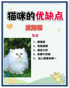 波斯猫养一个月费用多少？（养一只波斯猫一个月多少钱）