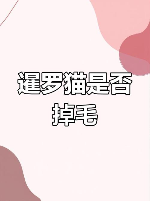 暹罗猫掉毛多？试试梳毛低盐粮！（暹罗猫掉毛严重吗）