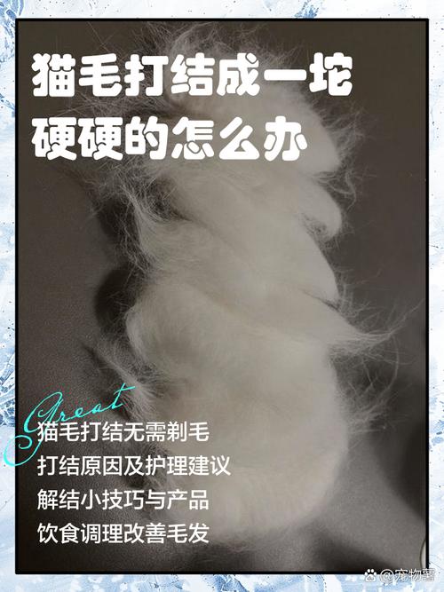 猫咪毛发打结怎么办？（猫毛打结的原因是什么）