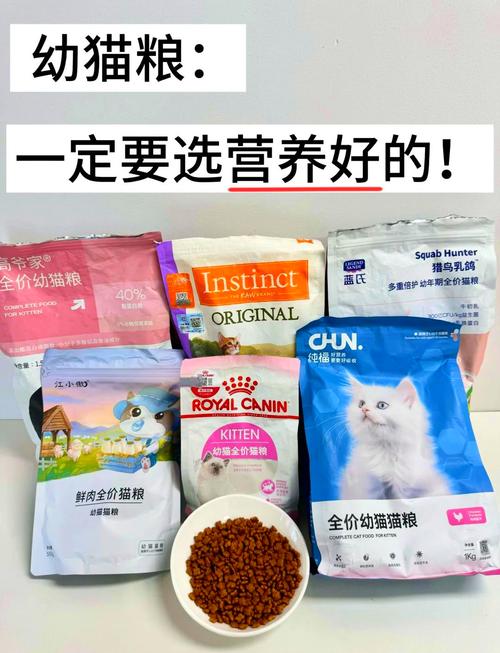 科学增重，选对猫粮增肌亮毛（什么猫粮增肥效果好）