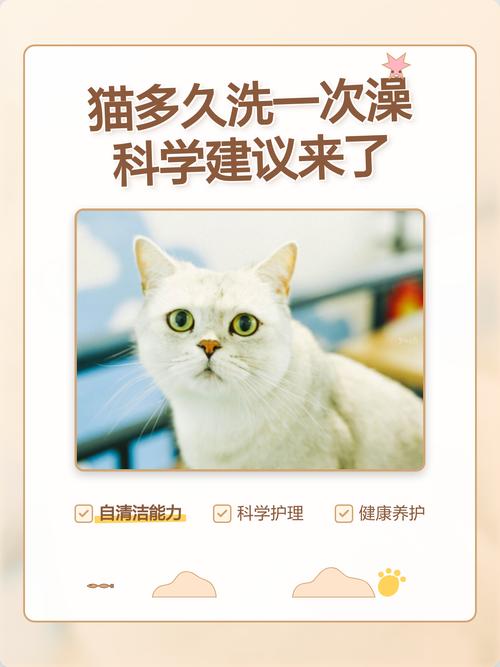 猫咪洗澡频率因猫而异，无需太频繁（猫猫几天洗一次澡）