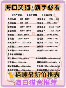 布偶猫价格差异大，选购需谨慎（布偶猫多少钱一只）