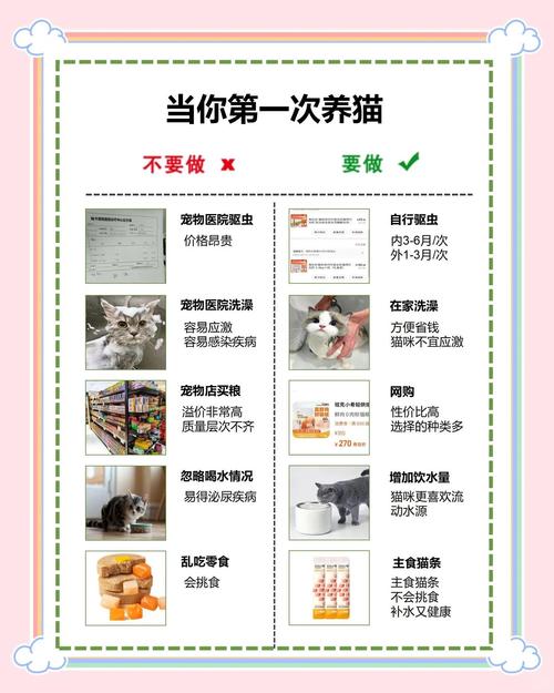 防跳楼保暖又干净（阳台养猫的正确方法）