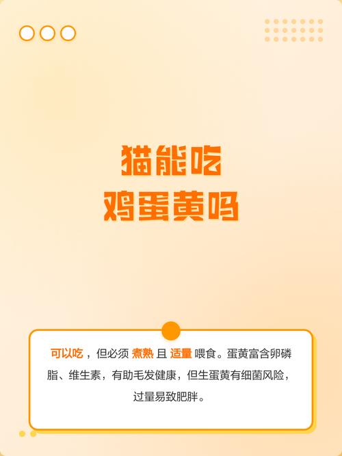 猫咪适量吃蛋黄，注意健康风险（猫咪吃蛋黄有什么好处和坏处）