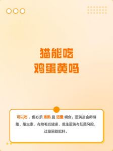 猫咪适量吃蛋黄，注意健康风险（猫咪吃蛋黄有什么好处和坏处）