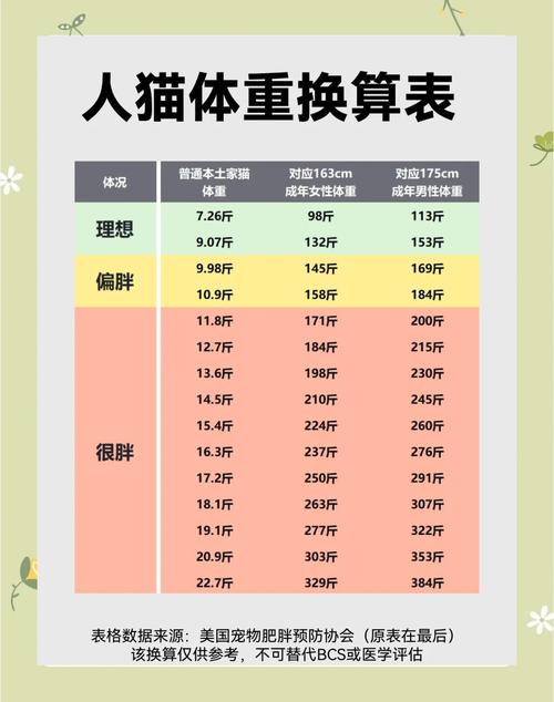 德文猫标准体重4-7公斤，科学喂养防肥胖（德文猫体重对照表月龄）
