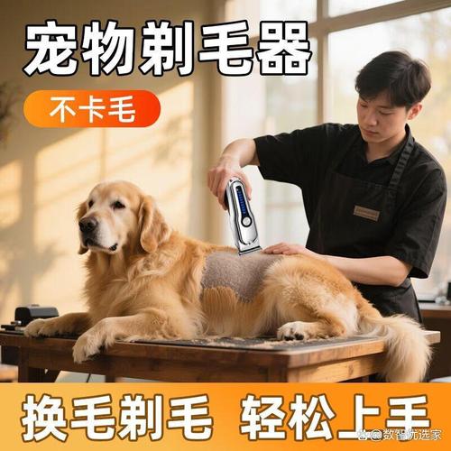 静音安全，长毛猫慎用（给猫咪用什么剃毛刀最好呢）