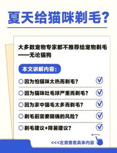 猫咪夏天剃毛？需谨慎，看情况！（猫咪夏天需要剃毛吗）