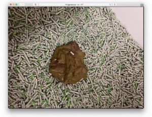 布偶猫软便怎么办？科学调理肠胃（布偶猫长期软便）