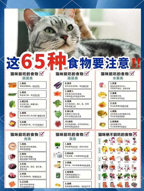 幼猫爱吃什么？营养美味全攻略（幼猫最爱吃的10种食物）