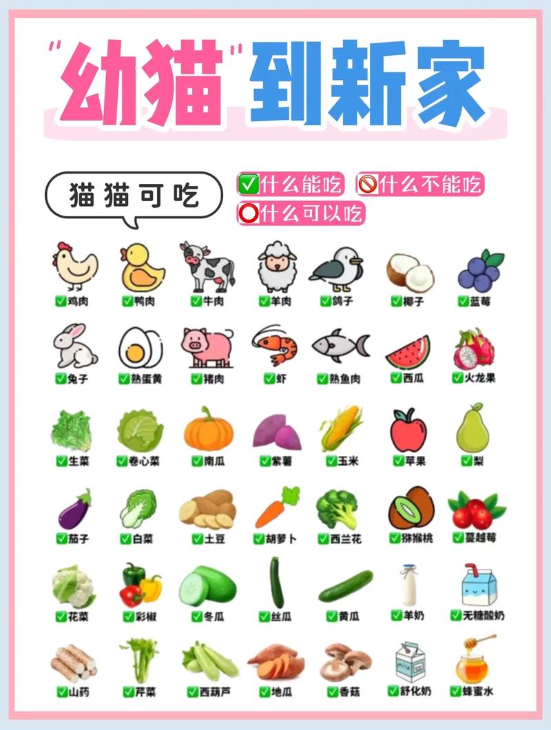 猫咪饮食禁忌多，安全喂食是关键（猫咪不能吃的东西）