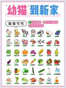 猫咪饮食禁忌多，安全喂食是关键（猫咪不能吃的东西）