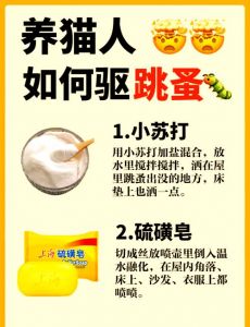 天然气味驱猫，物理拦截，勿用毒物暴力（赶走野猫的绝招）