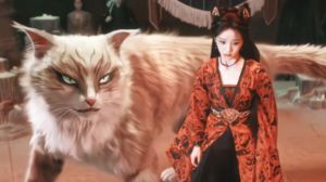 猫穿古装遇真爱，奇幻市井剧推荐（关于猫的电视剧古装）