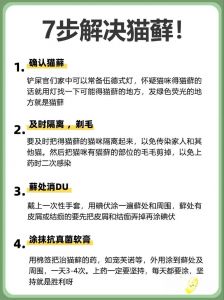 猫毛粘内裤，易过敏人群需警惕（猫毛粘在内裤上要紧吗）
