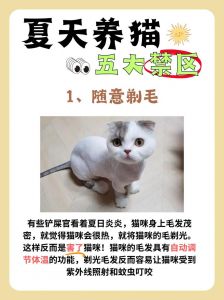保暖防晒不能忘（猫猫剃毛的好处和坏处）