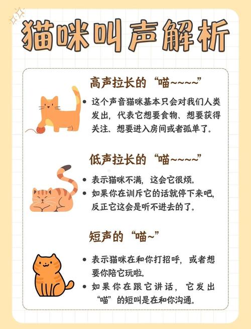 猫咪春秋发情乱叫？温柔应对有妙招！（猫叫秧子怎么办）