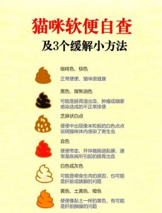 幼猫拉稀怎么办？速停食补水，白头翁需精确用药（幼猫拉稀怎么办）