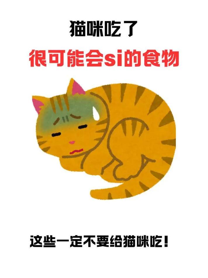 猫咪食欲不振怎么办？试试这些方法！（猫不吃东西怎么办）