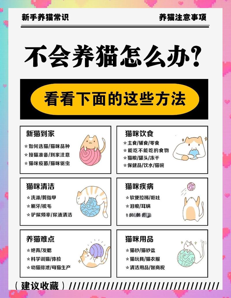 猫咪攻击怎么办？理解原因，耐心引导！（家猫攻击性太强怎么办）