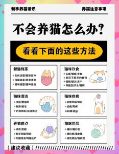 颜值性格健康多注意，做好科学养宠准备（养猫最忌三种颜色）