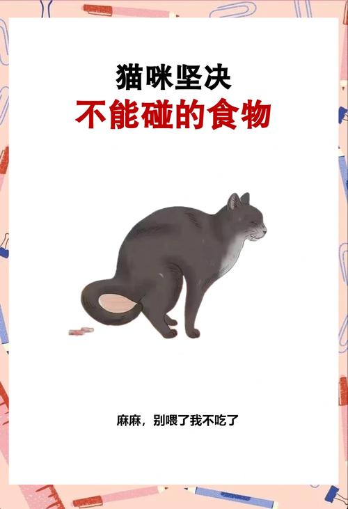 猫不能吃人类食物，有毒风险大，专用猫粮更安全！（猫咪饮食禁忌）