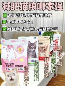 科学选粮，帮猫咪健康减肥（哪个减肥猫粮最有效）