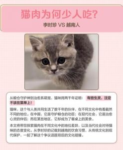 补益还是风险？（吃猫肉好吗）