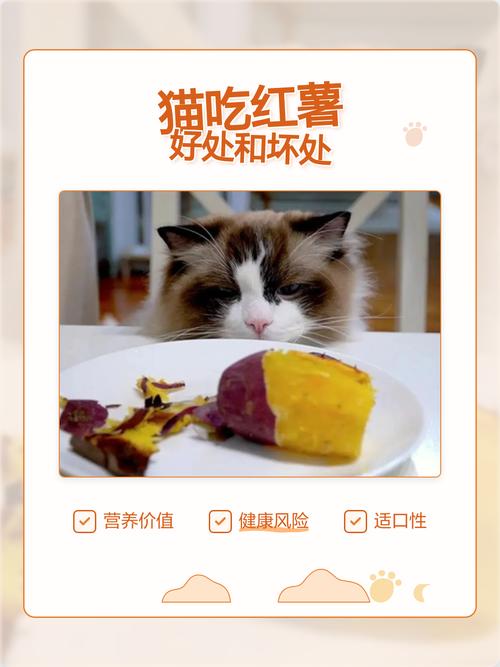 幼猫肠胃弱，地瓜要少吃（幼猫可以吃地瓜吗）